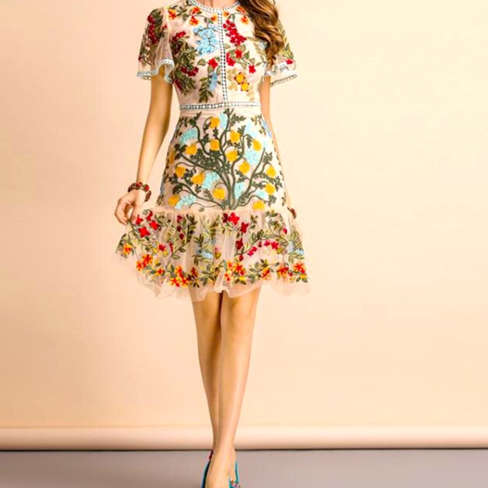 Embroidered Lowered Waist Flounce Dress